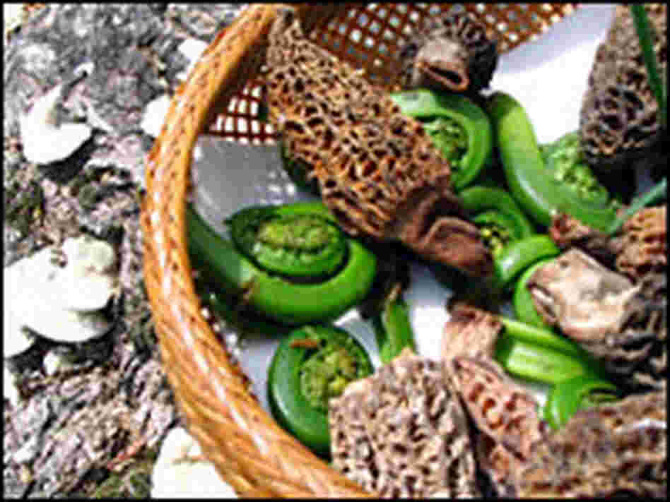 Morels with fiddlehead ferns, two of springtime's seasonal delights. 