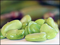 Fava beans