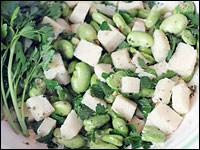 Fava bean and pecorino salad
