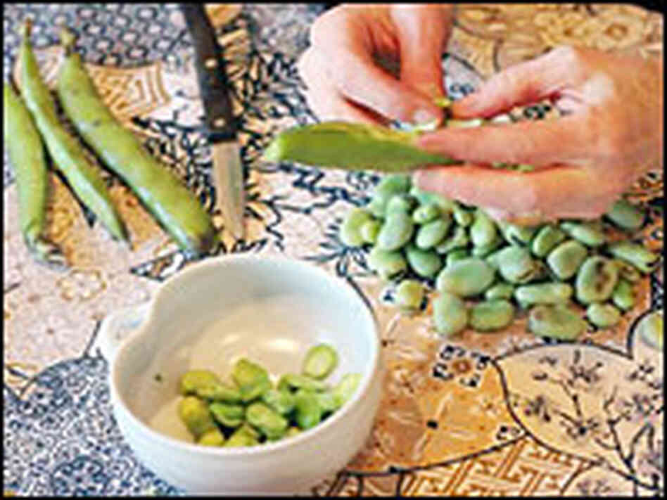 Shucking fava beans