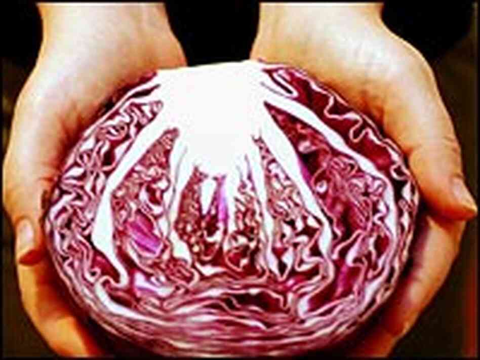 Red Cabbage