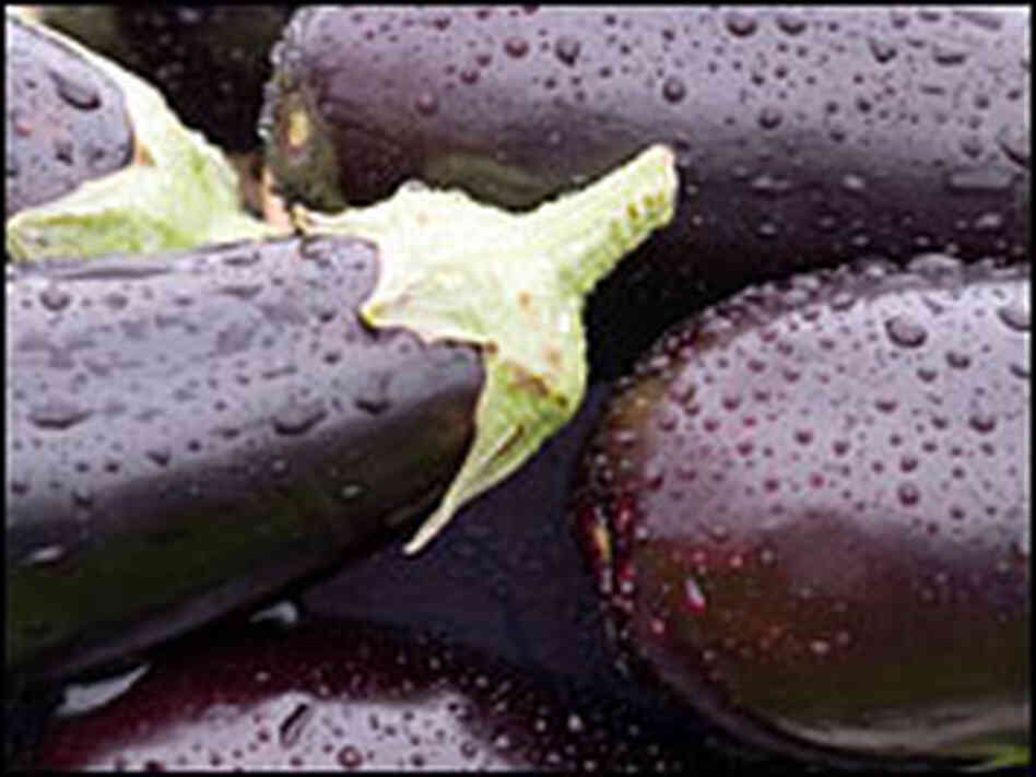 Eggplant