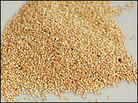 Quinoa kernels Quinoa kernels