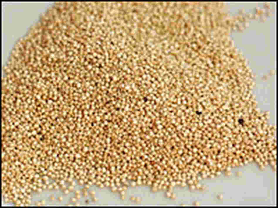 Quinoa kernels