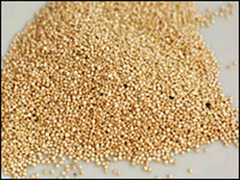 quinoa quinoa