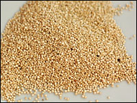 Quinoa plants grow at high altitudes and produce round, highly nutritious kernels that can be boiled into pilafs, turned into soups, stirred into breakfast porridge or ground into flour.