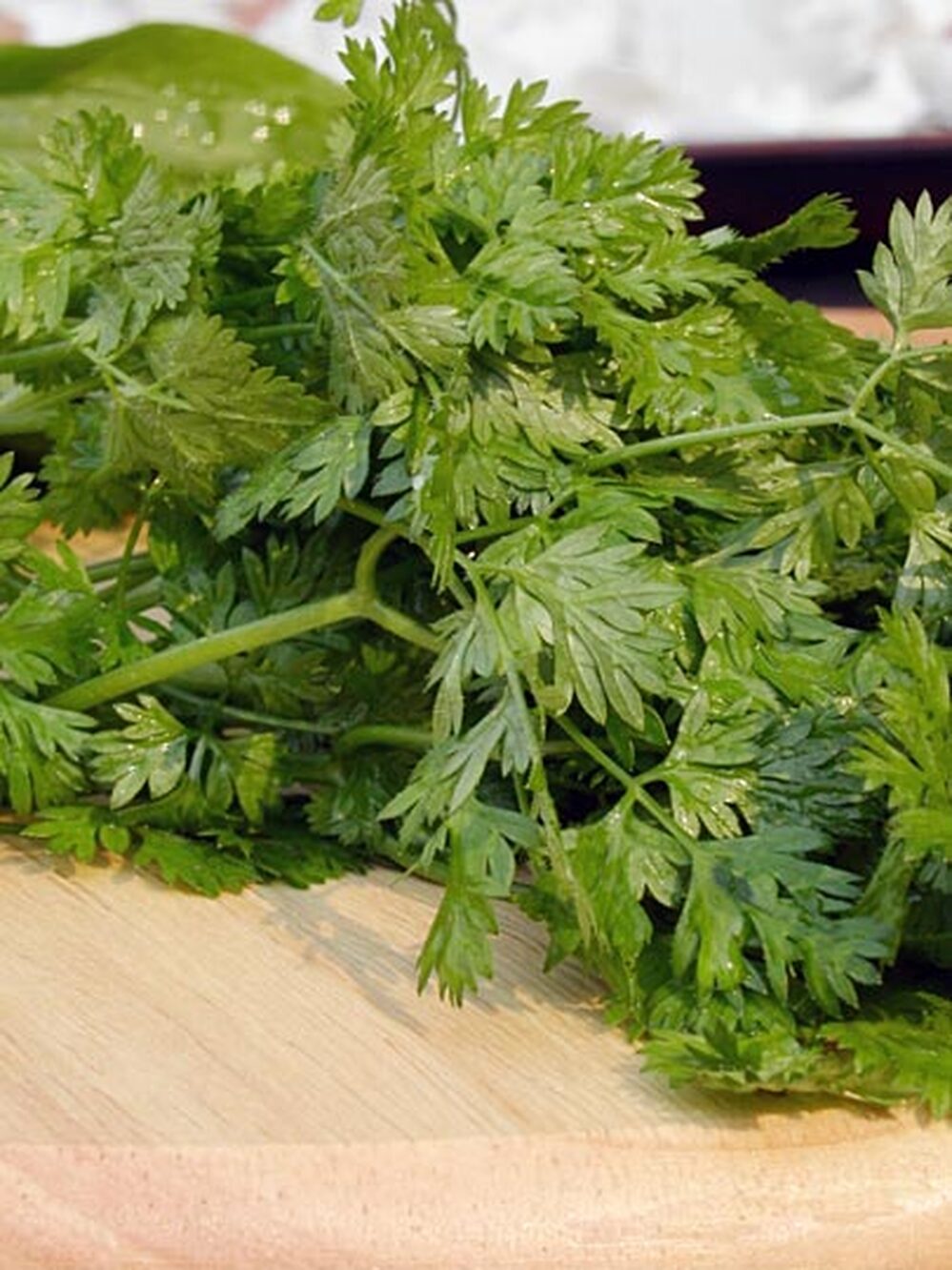 Chervil