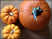 The Many Faces Of The Great Pumpkin