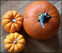 The Many Faces Of The Great Pumpkin