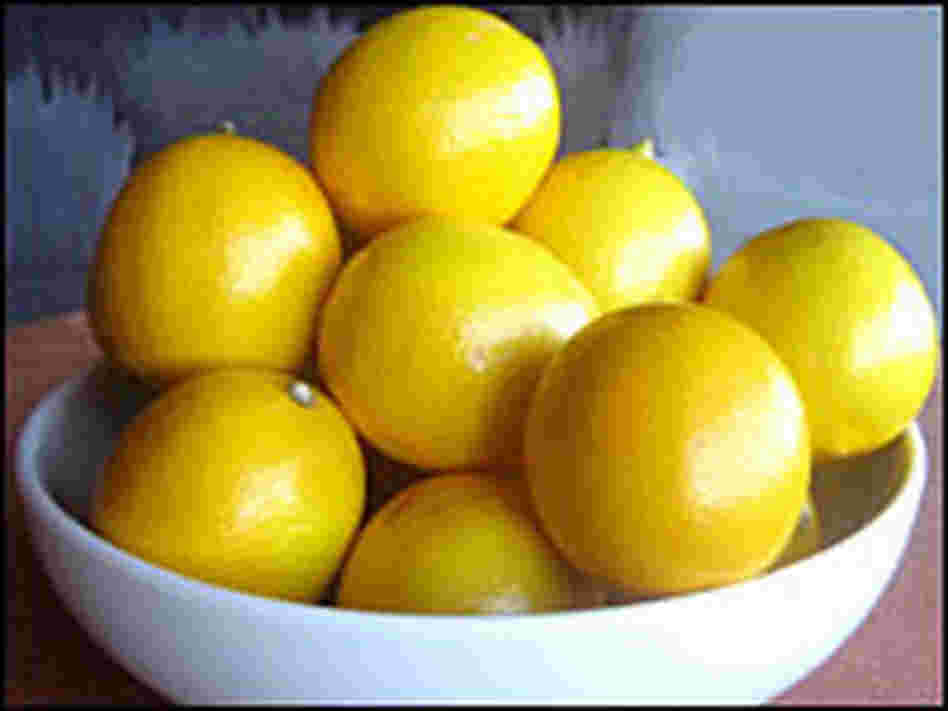 A white bowl full of Meyer lemons