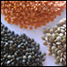Lentils. Credit: Julie O'Hara for NPR