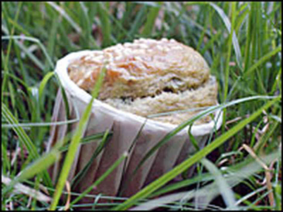 Fresh Herb Muffin Fresh Herb Muffin