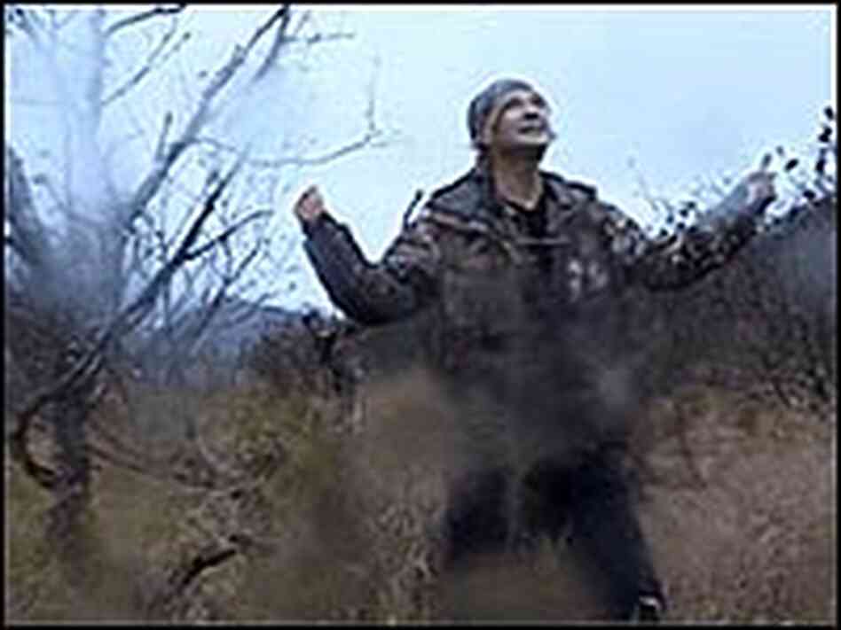 grizzly man film report This is my first a review for the site so i should define what makes an a movie in my book the two main things that have to be in the mix for me to real. grizzly man film report This is my first a review for the site so i should define what makes an a movie in my book the two main things that have to be in the mix for me to real.