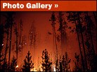 Photo Gallery: Yellowstone Fires Photo Gallery: Yellowstone Fires