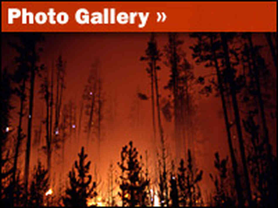 Photo Gallery: Yellowstone Fires