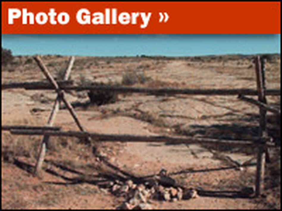 Matthew Shepard Gallery