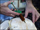 Turkey injecting marinade. Cooks have many tools to make a memorable Thanksgiving meal. Turkey injecting marinade. Cooks have many tools to make a memorable Thanksgiving meal.