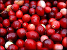 Fresh Cranberries: What's Thanksgiving without relish? Fresh Cranberries: What's Thanksgiving without relish?