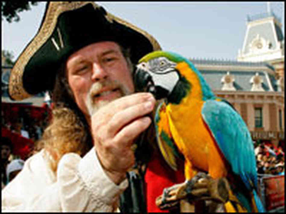 Pirate Man Pirate Man