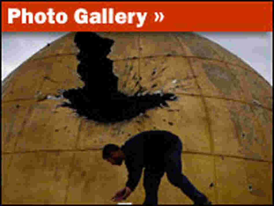 Gallery Gallery