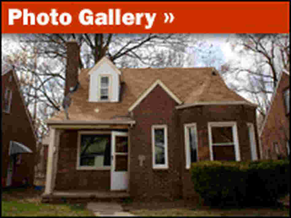 Mining for Real Estate in Detroit