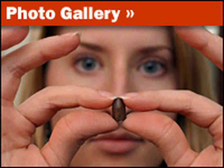 Photo Essay: 10 Years After Columbine Photo Essay: 10 Years After Columbine