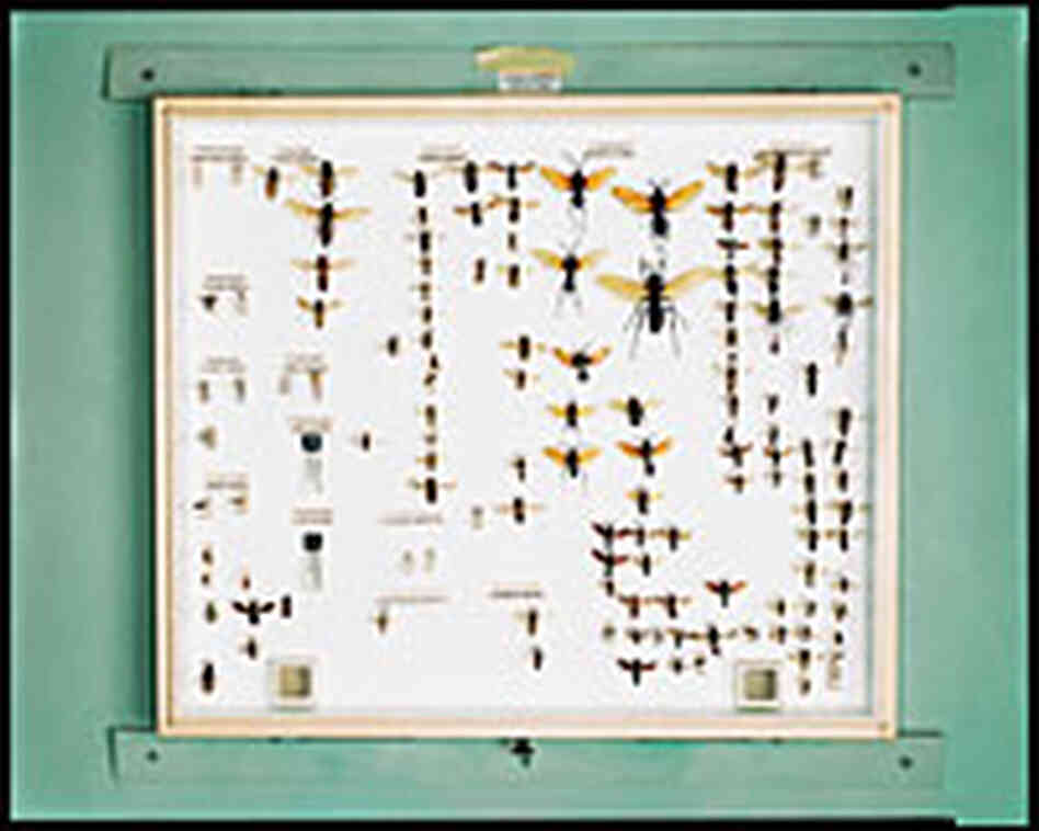 description description