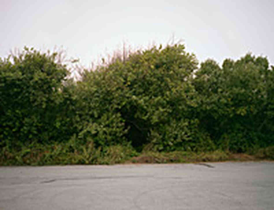 description description