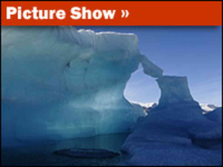 Picture Show: Extreme Ice Picture Show: Extreme Ice