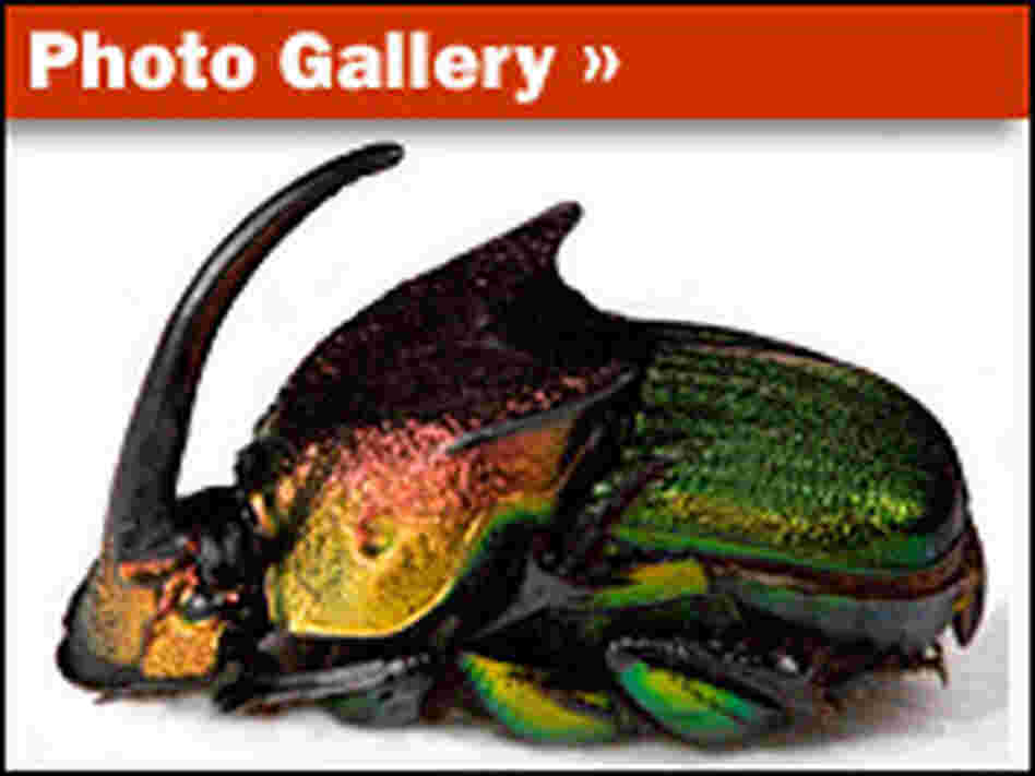 Slideshow promo Slideshow promo