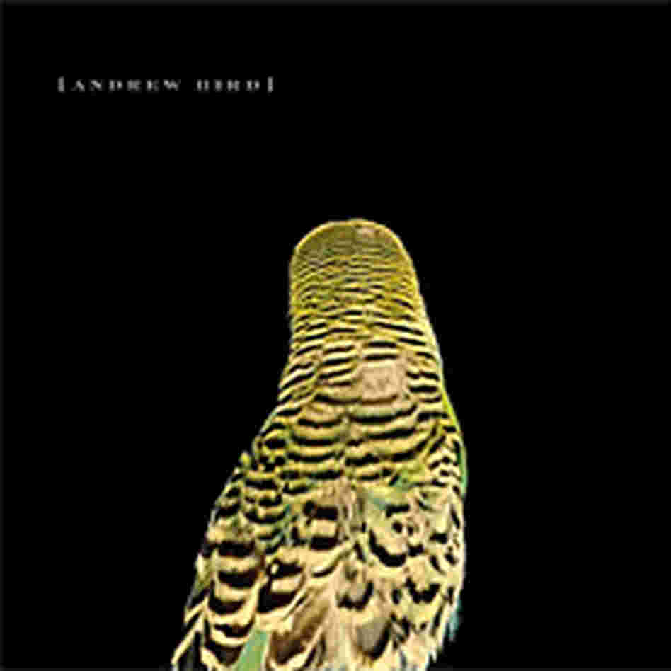 Andrew Bird Andrew Bird
