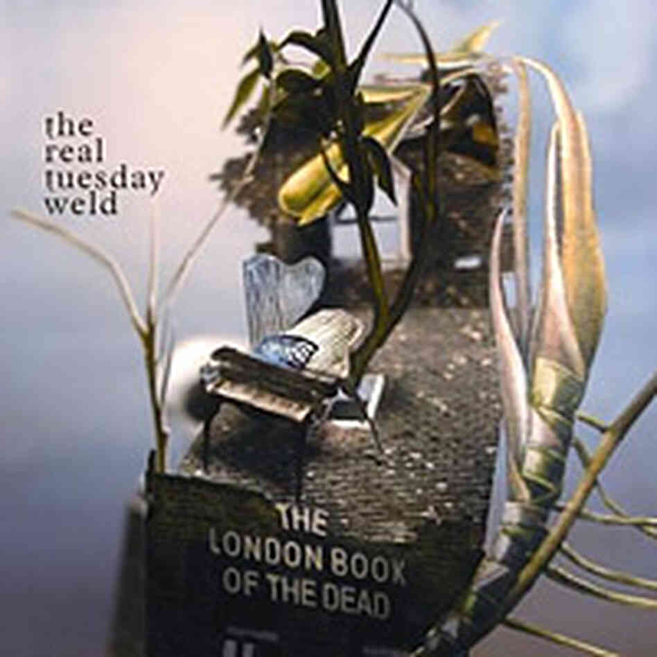 weld weld