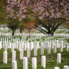 Arlington Cemetary