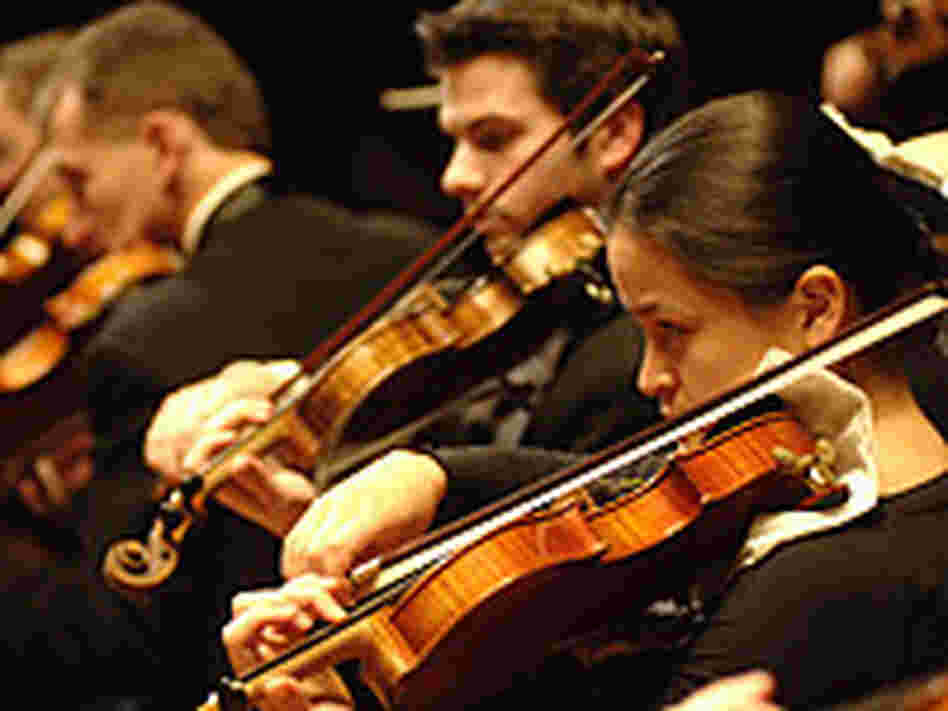 Boston Philharmonic String section Boston Philharmonic String section