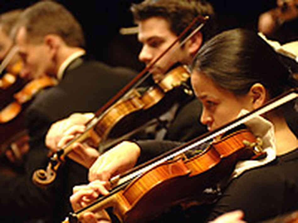 Boston Philharmonic String section Boston Philharmonic String section