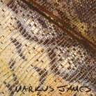 Markus James, Snakeskin Violin Markus James, Snakeskin Violin