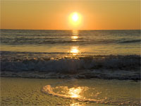 End of Summer (200)