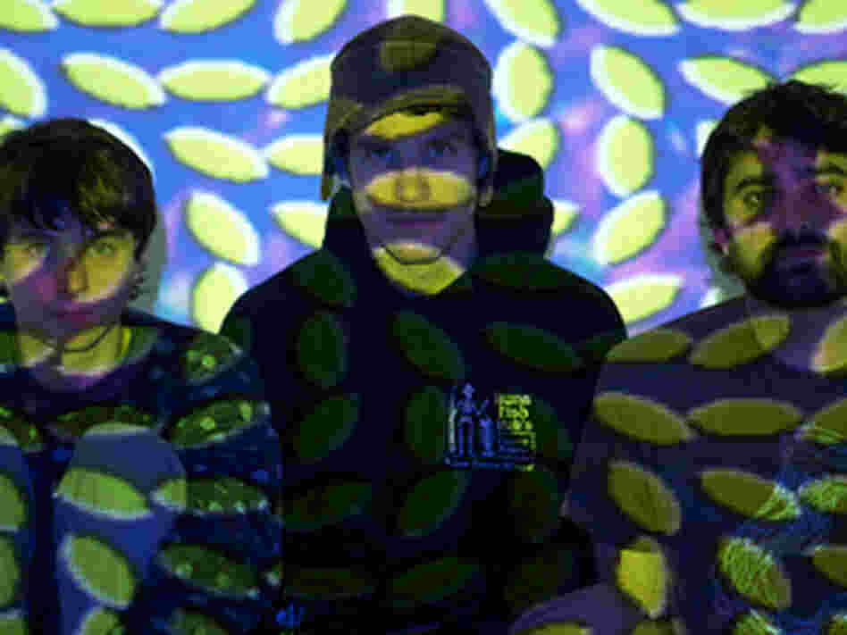 Animal Collective 300