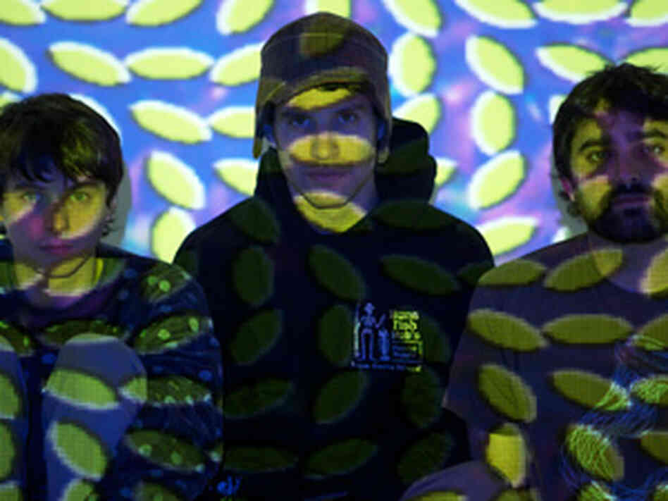 Animal Collective 300