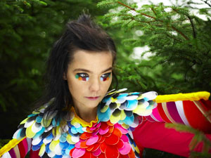 Bjork Bjork