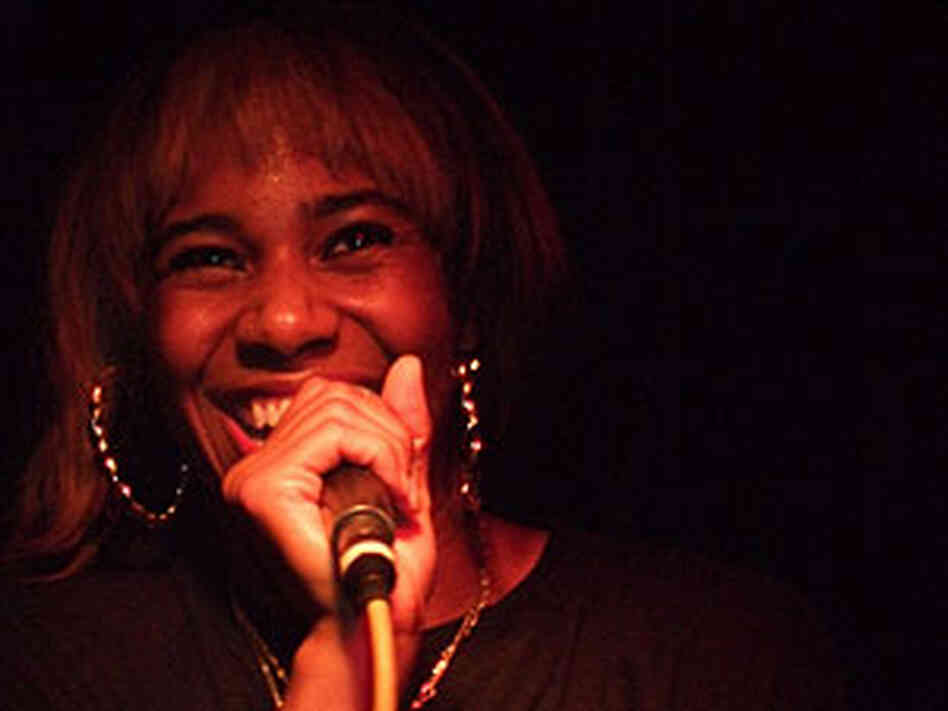 Santogold 300
