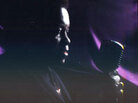 lee fields 200 lee fields 200