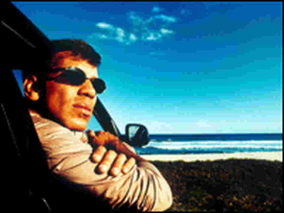 Celso Fonseca Celso Fonseca