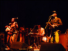 Konono No. 1 performs live at the United Palace in New York City. Konono No. 1 performs live at the United Palace in New York City.