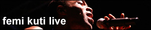 femi kuti live in concert
