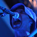 Animal Collective; credit: Joel Didriksen