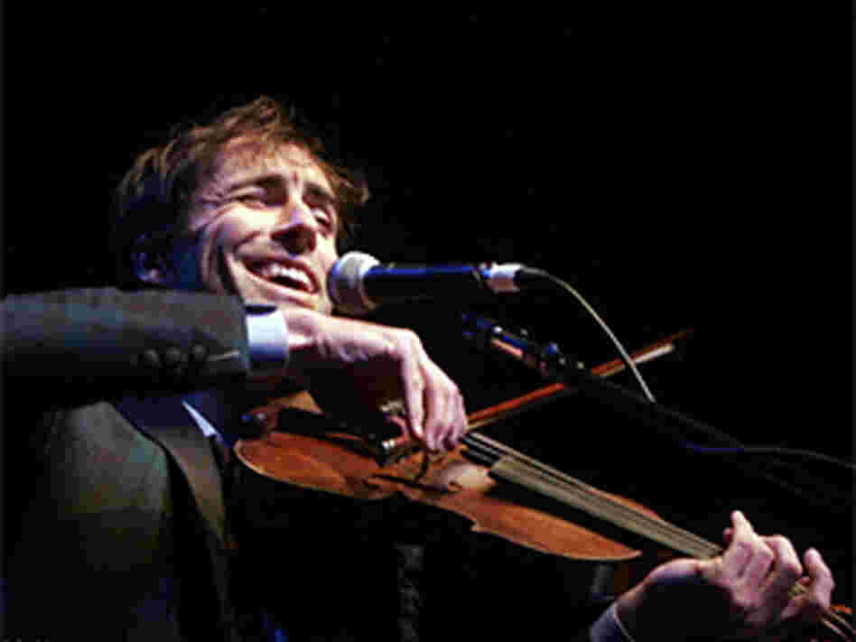 Andrew Bird 300