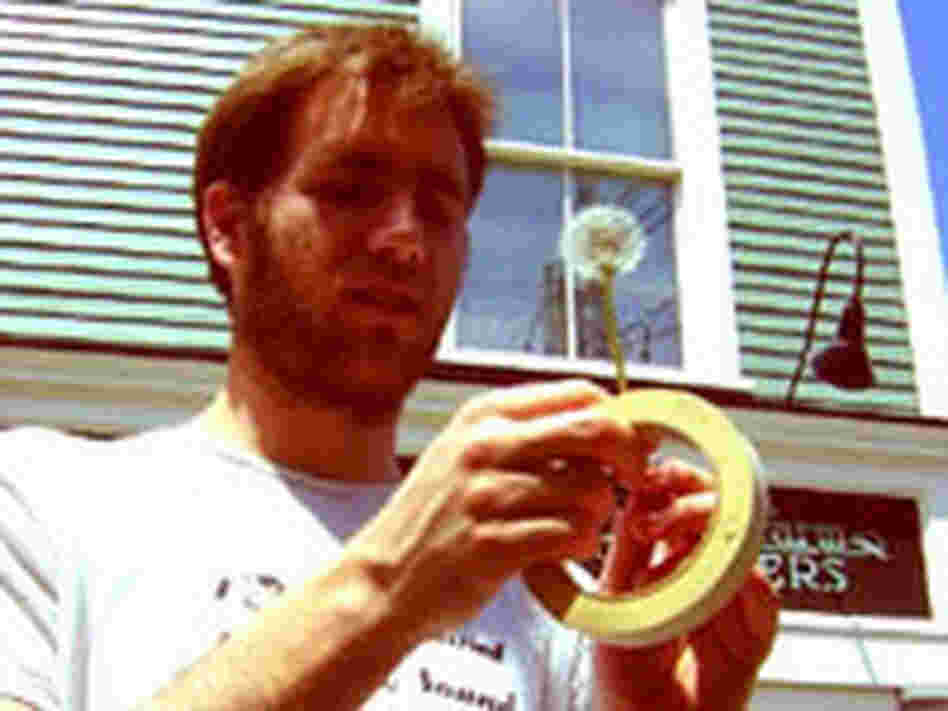 lindley 200