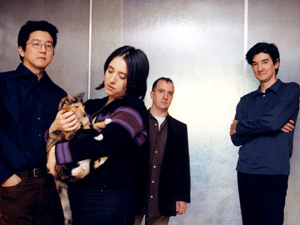 The Magnetic Fields The Magnetic Fields