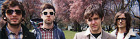 The Dead Trees; courtesy of the artist
